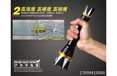 高壓電擊棒送給親人保護(hù)神
